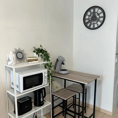 Charming 1 Bedroom Flat Centre * 尼斯